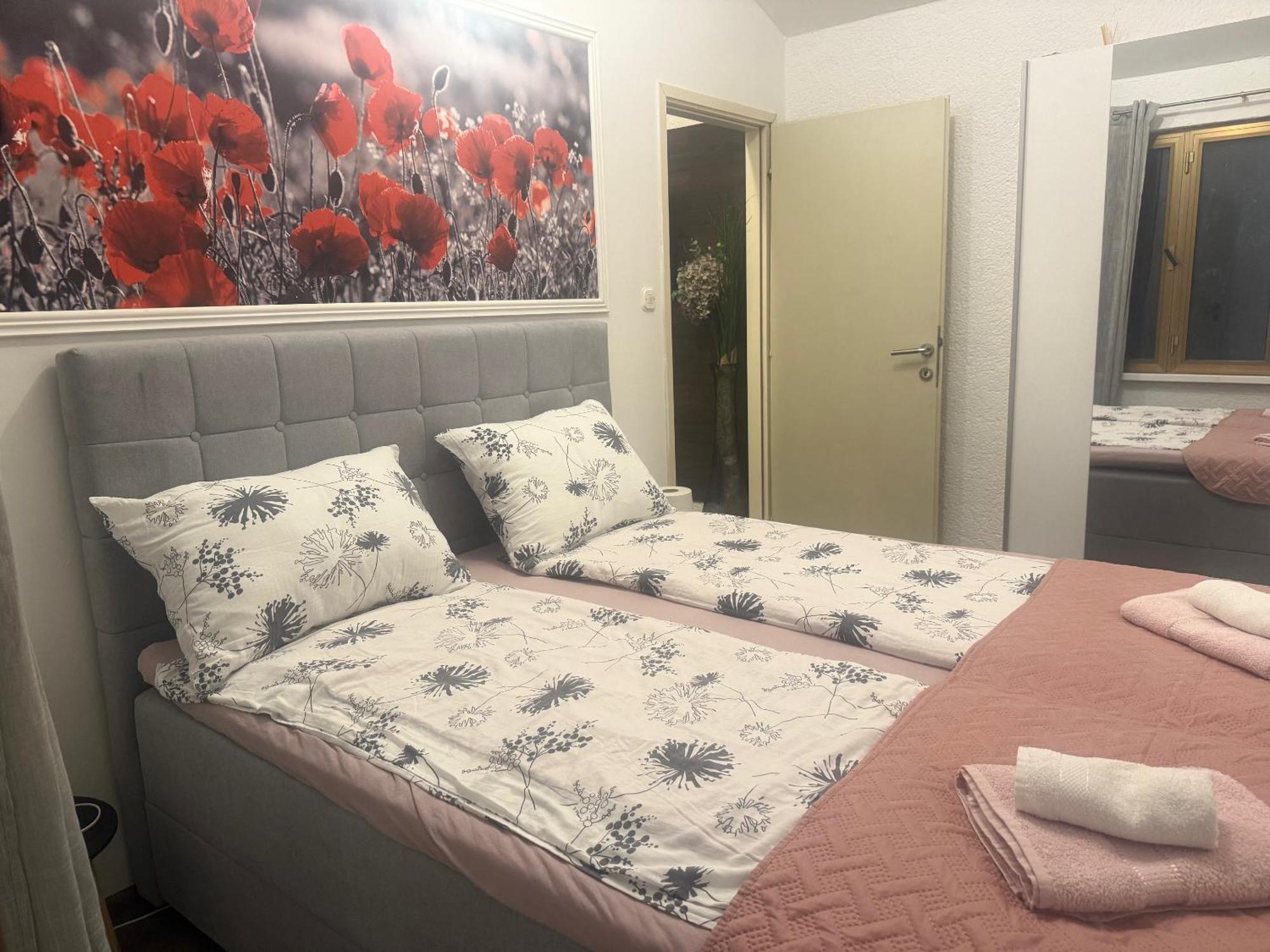 Apartmani Milokanovic Фунтана Екстер'єр фото
